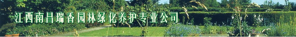 同题参见