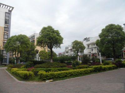 继续了解如某条暂不可用