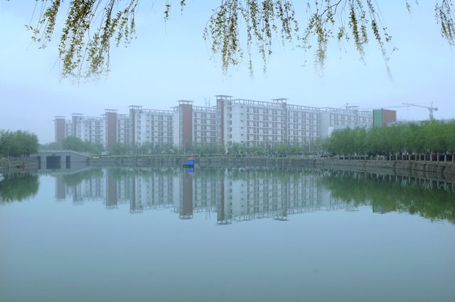 继续了解如某条暂不可用