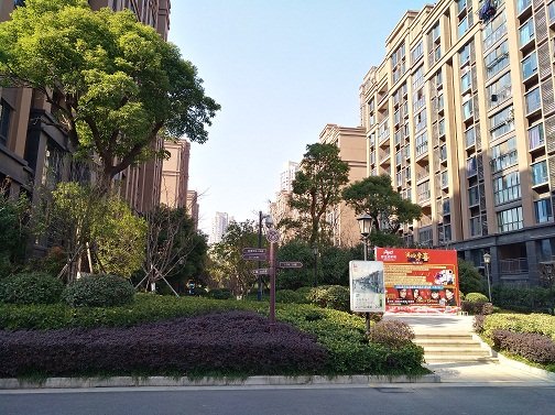 雷速体育官方版最新版本下载安装