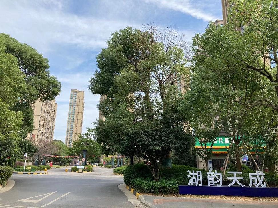 雷速体育官方版最新版本下载安装